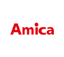 Amica